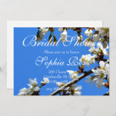 Spring white cherry Blossom Kaart (Voorkant / Achterkant)