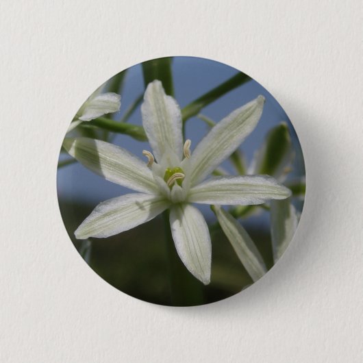 Spring White Flower Button (Voorkant)