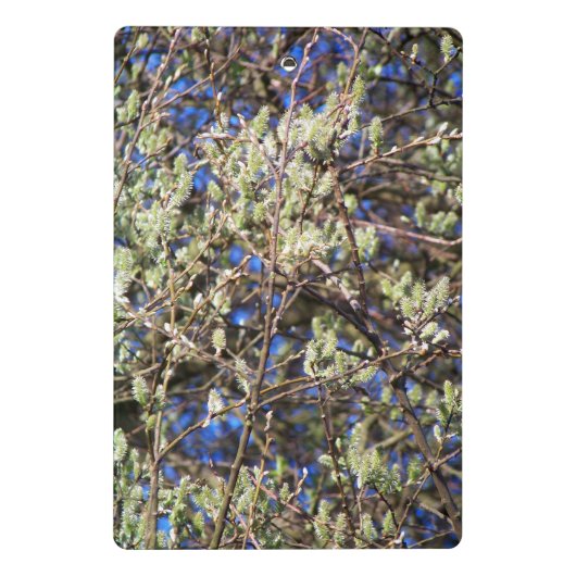 SPRING WILLOW MINI KLEMBORD (Achterkant)