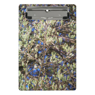 SPRING WILLOW MINI KLEMBORD