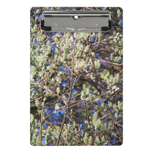 SPRING WILLOW MINI KLEMBORD (Voorkant)