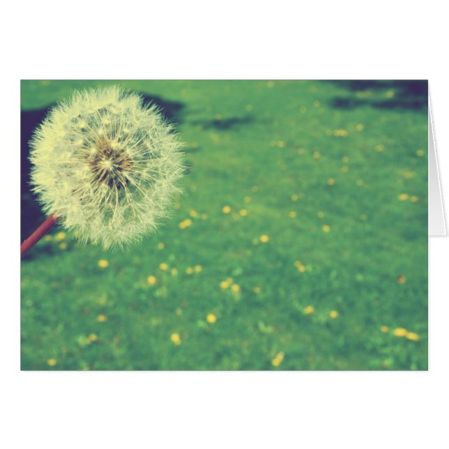 Spring  Wishes Fotografie (Voorkant Horizontaal)