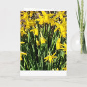 Spring Yellow Daffodils Birthday Card Kaart (Achterkant)
