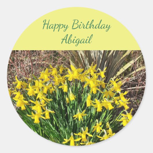 Spring Yellow Daffodils Birthday Ronde Sticker (Voorkant)