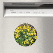 Spring Yellow Daffodils Magnet Magneet (Insitu (Vaatwasser))