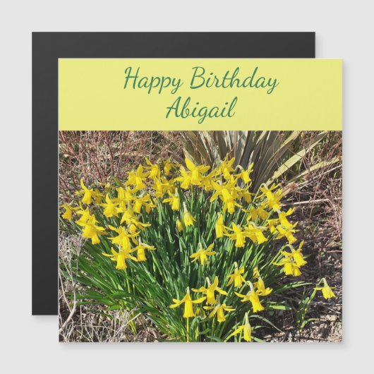 Spring Yellow Daffodils Magnetic Birthday Kaart (Voorkant / Achterkant)