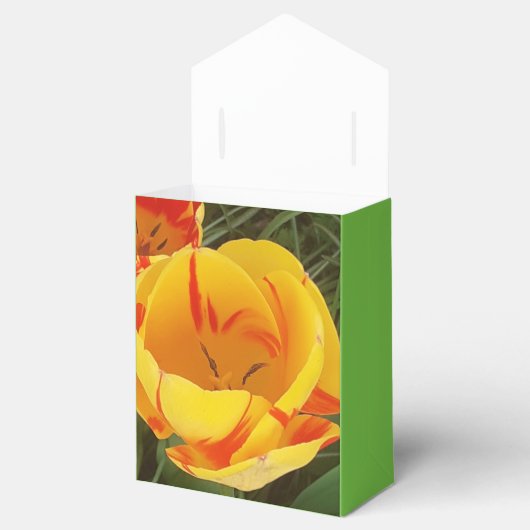 Spring Yellow Tulip Bedankdoosjes (Geopend)