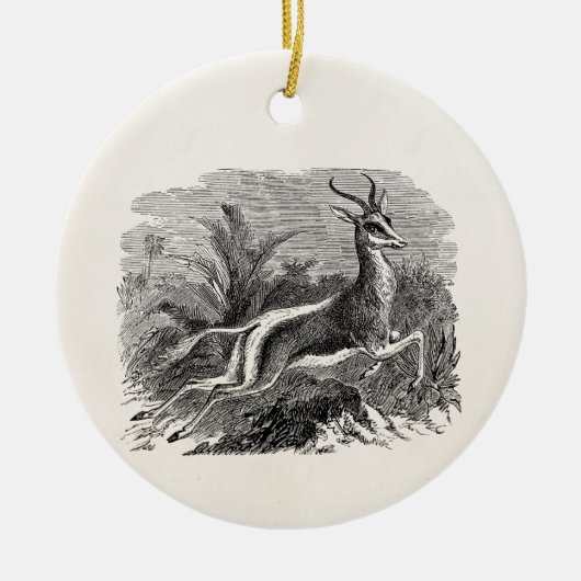 Springbok Antelope Gazelle Persoonlijk Keramisch Ornament (Voorkant)