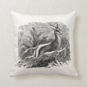  Springbok Antelope Gazelle Persoonlijk Kussen