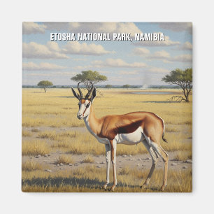 Springbok Etosha Nationaal Park Namibië Reizen Magneet