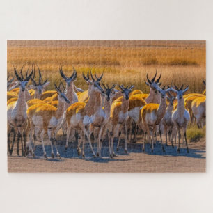Springbok Herd Legpuzzel