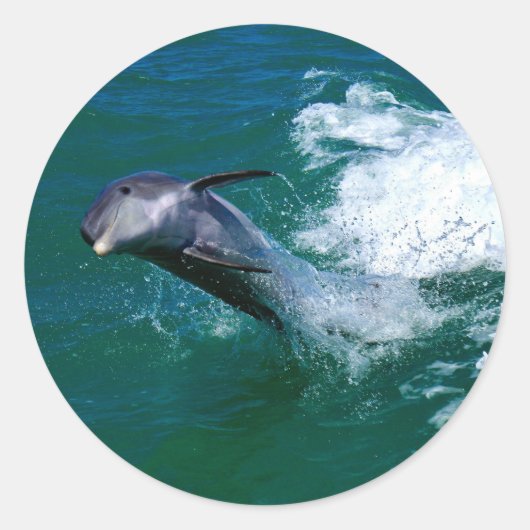 Springen en dansen Dolfijn Ronde Sticker (Voorkant)