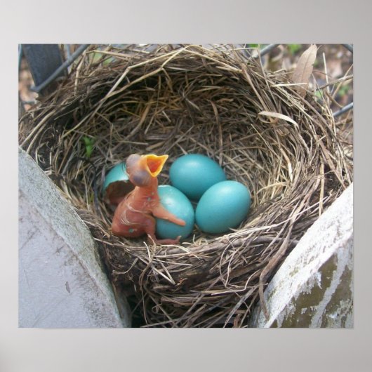 springen_new_geboorte_first-born poster (Voorkant)