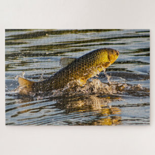 Springende Graskarper Legpuzzel
