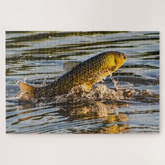 Springende Graskarper Legpuzzel (Horizontaal)