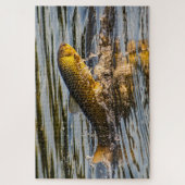Springende Graskarper Legpuzzel (Verticaal)