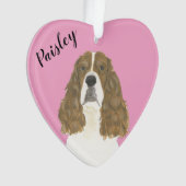 Springer anglais rose-rouge-rose personnalisé (devant)