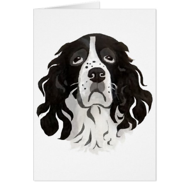 Springer font face à la carte (Devant)