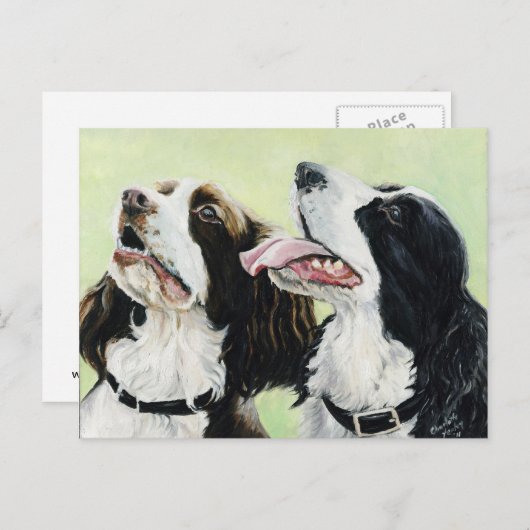 Springer lance la carte postale originale (Devant / Derrière)