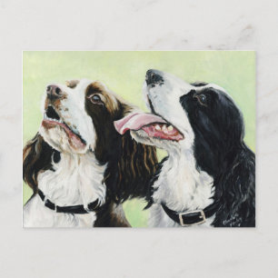 Springer lance la carte postale originale