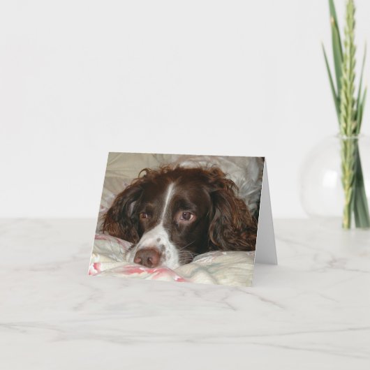 Springer Love Kaart (Voorkant)