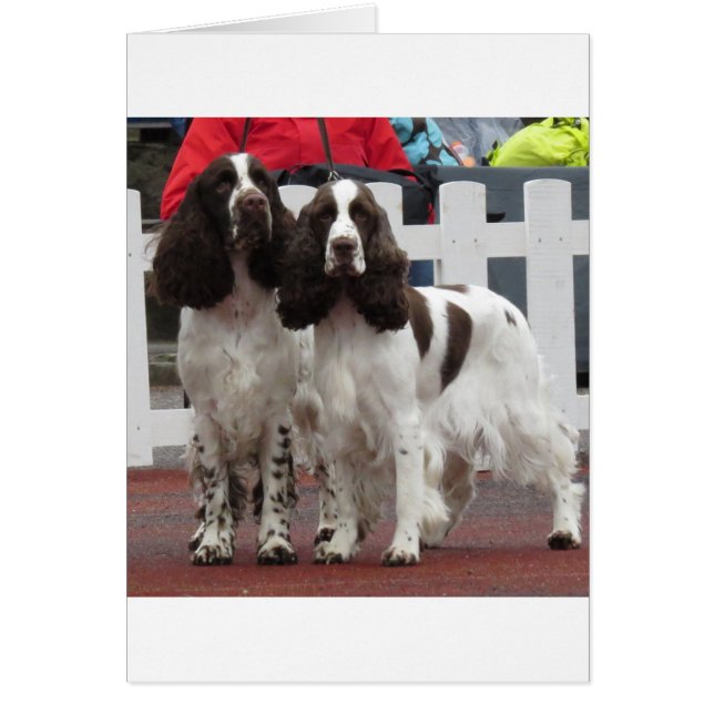 Springer_Pair laag (Voorkant)