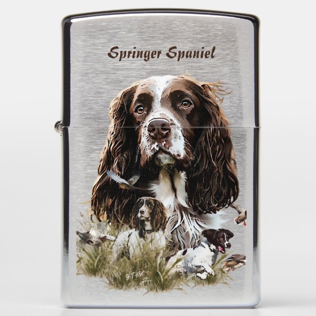Springer Spaniel (Voorkant)