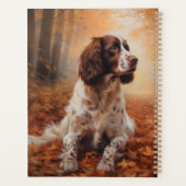 Springer Spaniel à l'automne Feuilles automne Insp (Dos)