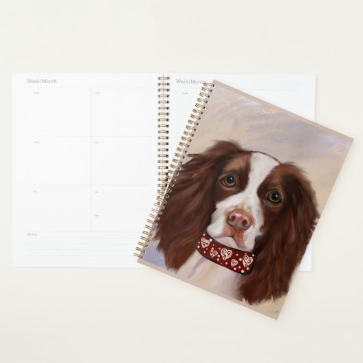 SPRINGER SPANIEL ANGLAIS     (Devant avec enveloppe)