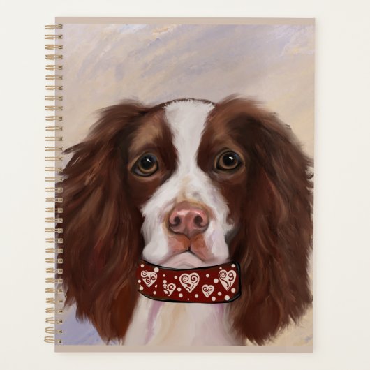 SPRINGER SPANIEL ANGLAIS     (Devant)