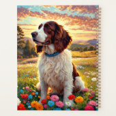 Springer Spaniel anglais (Dos)