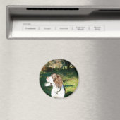 Springer Spaniel Chien Magnet (In Situ (Lave-vaisselle))