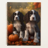 Springer Spaniel chiot Automne Délice Citrouille (Devant)