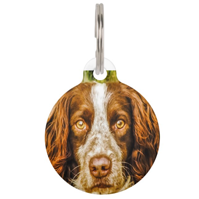 Springer Spaniel Dog. Huisdierpenning (Voorkant)