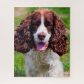 Springer Spaniel Dog Jigsaws. Legpuzzel (Verticaal)