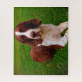 Springer Spaniel Dog Jigsaws. Legpuzzel (Verticaal)