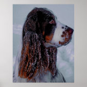 Springer Spaniel Dog Poster. Poster (Voorkant)