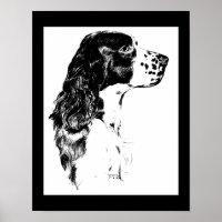 Springer Spaniel Dog Zwart-wit kunst