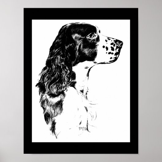  Springer Spaniel Dog Zwart-wit kunst Poster (Voorkant)