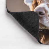 Springer Spaniel Dragen van een douche Pet Muismat (Hoek)