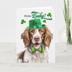 Springer Spaniel Feelin' Lucky St Patrick's Day Feestdagen Kaart
