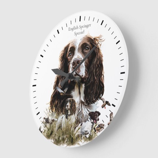 Springer Spaniel Grote Klok (Hoek)