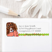 Springer Spaniel Happy Howlidays Etiket (Insitu)