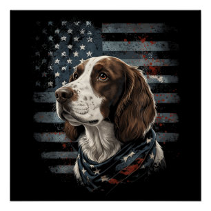 Springer Spaniel Hond Amerikaanse Vlag Perfect Poster