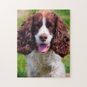 Springer Spaniel Hond Legpuzzels. Legpuzzel