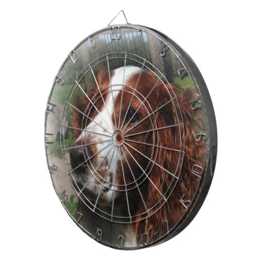 Springer Spaniel Hondenkunst Dartbord (Voorkant Rechts)