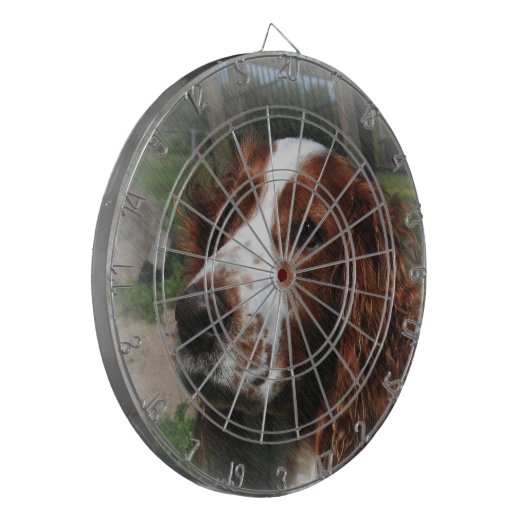 Springer Spaniel Hondenkunst Dartbord (Voorkant Links)
