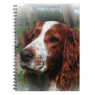 Springer Spaniel Hondenkunst Notitieboek