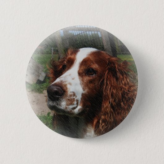 Springer Spaniel Hondenkunst Ronde Button 5,7 Cm (Voorkant)