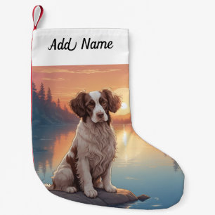 Springer Spaniel Kleine Kerstsok